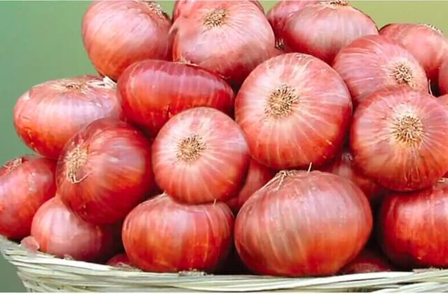 Onion (10kg)