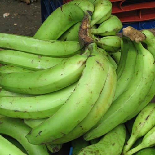 Plantain-Unripe