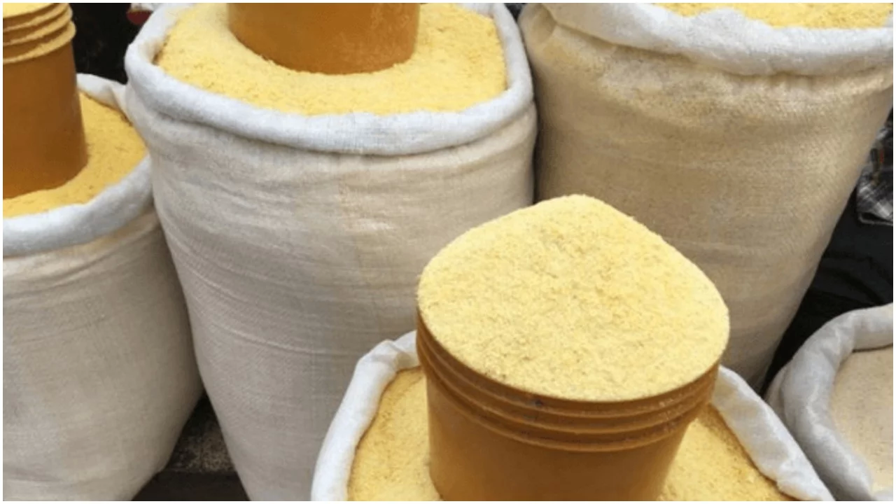Garri-Yellow (5kg)